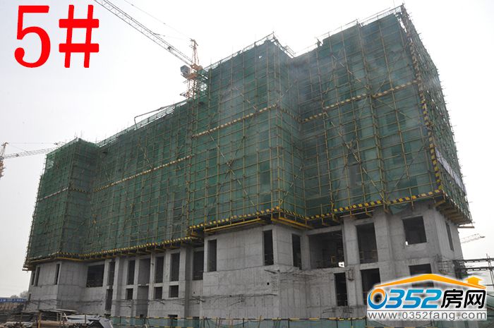 0116452401504a298a3275.jpg 5.JPG