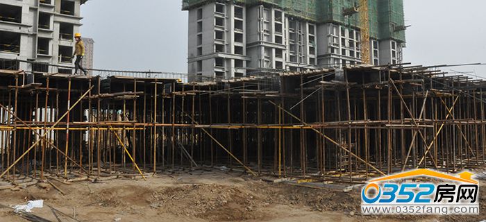 01164639690211e3474334.jpg DSC_0017.JPG