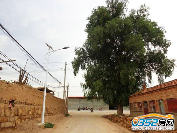 1214560555bcf4d0778590.jpg 2.jpg