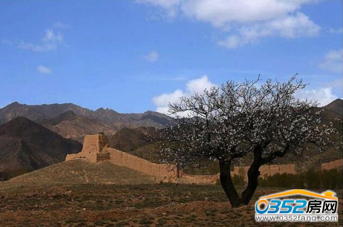 121511368f0e5f734c8173.jpg 6.jpg