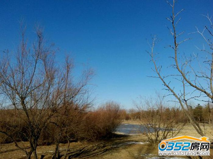 061055119e5108bdf50259.jpg 39a4ee1fbe096b63248e742c0b338744eaf8ac1d.jpg