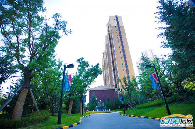 �����̻�ͼ