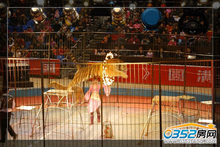 2510373599b8f645c85725.jpg 10782340.jpg