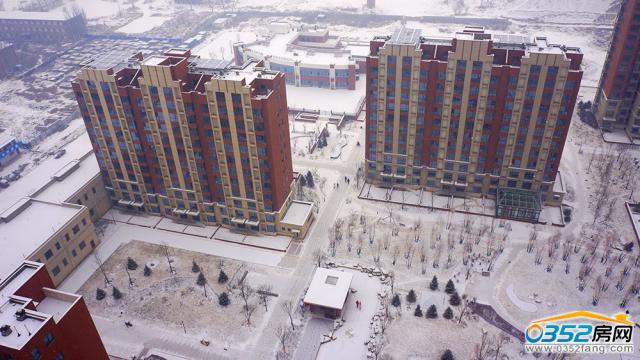 С�����ѩ��ͼ