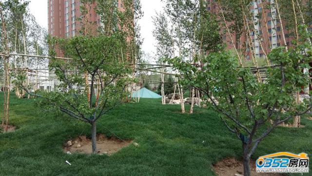 С���̻�����