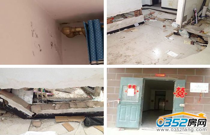 06142607909981b2183337.jpg 质量.jpg