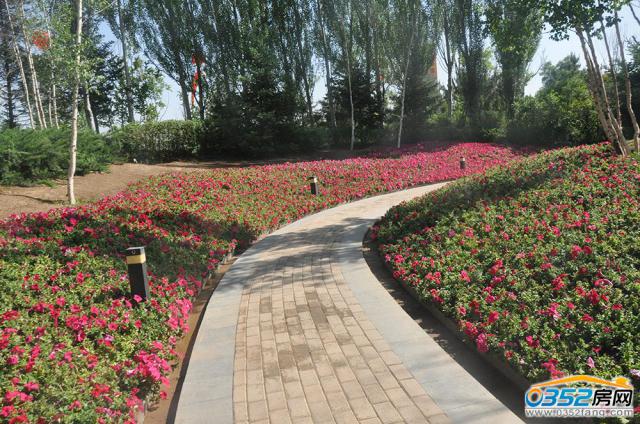 �����ú��廷��ͼ