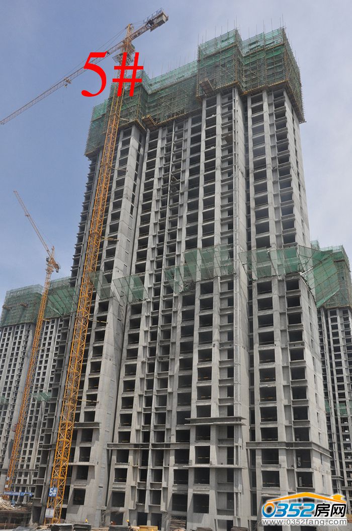 14171945b927f4baf33458.jpg 5.JPG