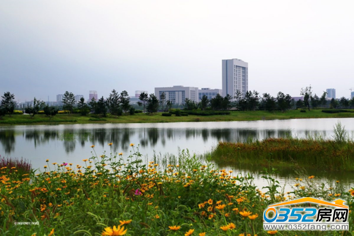 051852021e8b9391f57465.png 图片8.png