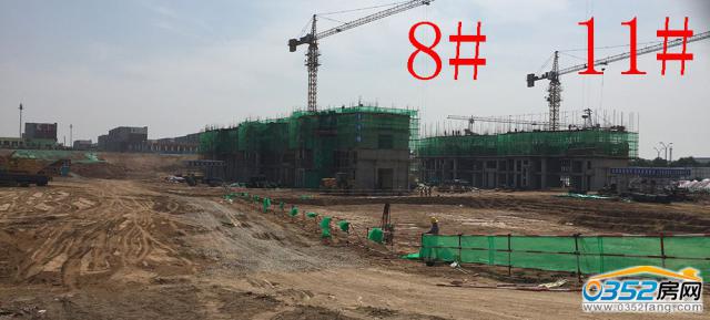 8.12ǧ8#11#¥