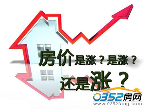 16105408419433b2089507.jpg 16105408419433b2089507.jpg