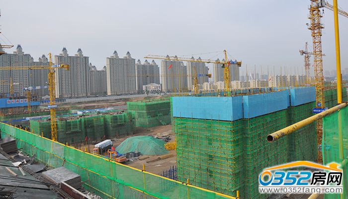 191640039587a1a80d8465.jpg DSC_0256.JPG