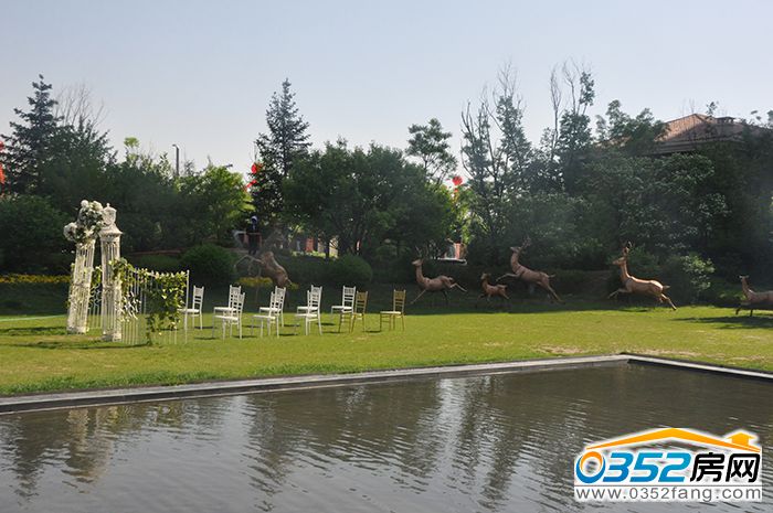 13161053fa9b7746411673.jpg 2511383690ae0ddbed9723.jpg