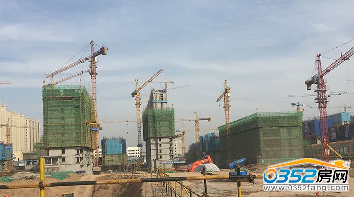 1416323627b1cc96466330.jpg IMG_0668.JPG