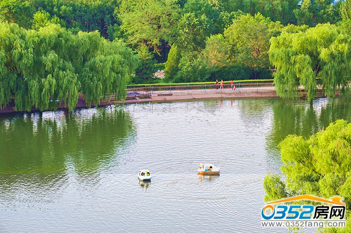 2316361591104180322008.jpg 李文艺15.JPG