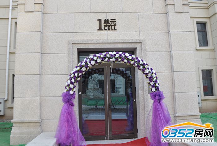 1710475010e7aef1615125.jpg DSC_0201.JPG