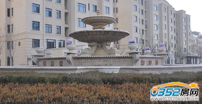 17104810ef712b5c200204.jpg DSC_0206.JPG