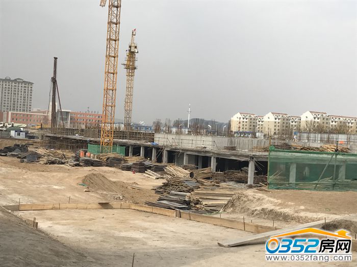 31141058580344e7931117.jpg 5.jpg