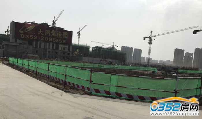 31141113bc1f8a43992959.jpg 4.jpg