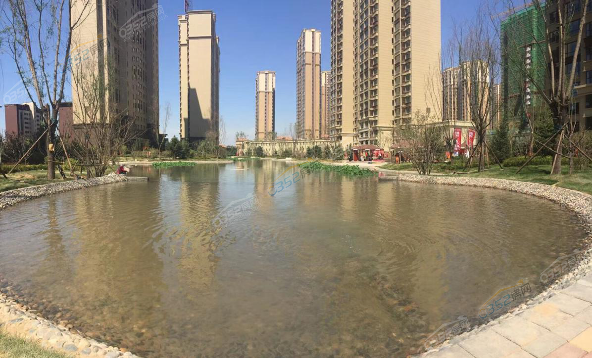 30204056202cf5e7335970.png 30204056202cf5e7335970.png