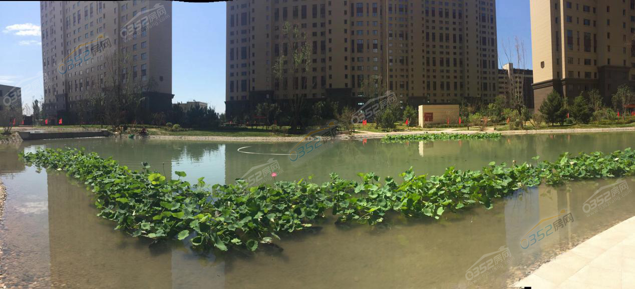 30204146d0a77040a59953.png 30204146d0a77040a59953.png