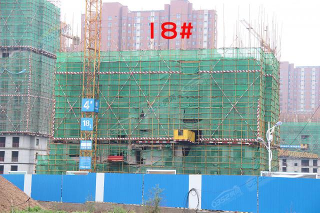 2018.5.11�п�����18#