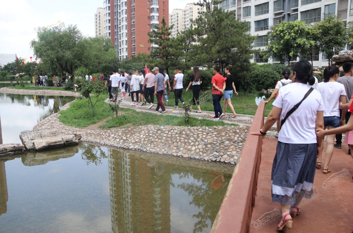 23103532c2745744823952.jpg 23103532c2745744823952.jpg