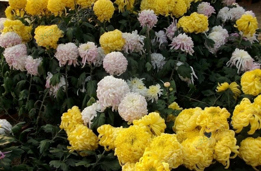 22164926597dcc3d588349.jpg 22164926597dcc3d588349.jpg