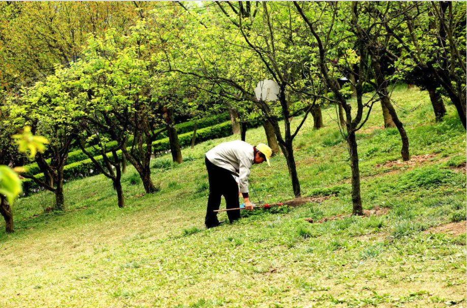 2717185338b2565b512202.png 2717185338b2565b512202.png