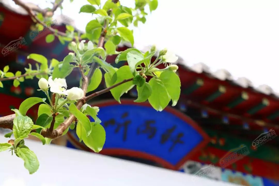 26151318b3baf1d6c76315.jpg 26151318b3baf1d6c76315.jpg