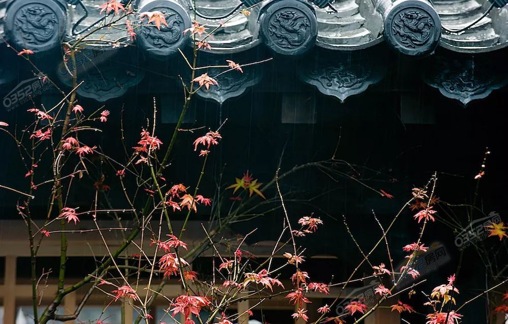 261514592a7d02e6881529.jpg 261514592a7d02e6881529.jpg