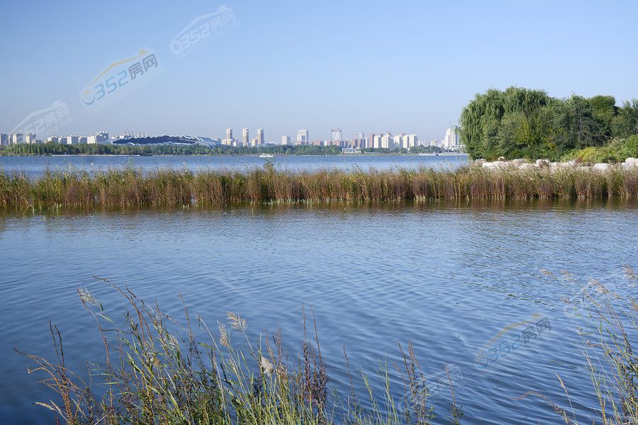 231342037545501c800065.jpg 231342037545501c800065.jpg