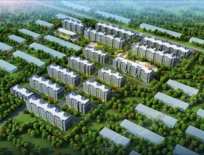 17111528112142aea00434.jpg 2.jpg