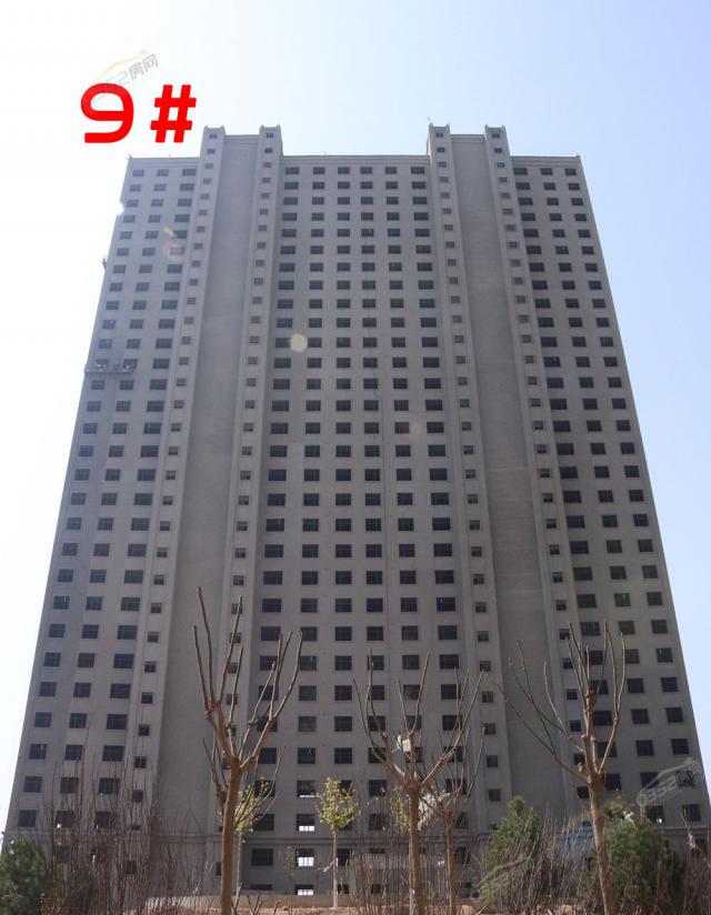 9¥ʵͼ