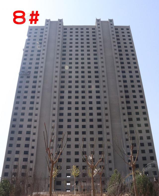 8¥ʵͼ