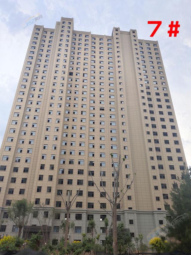 2019.6.207#ʵͼ