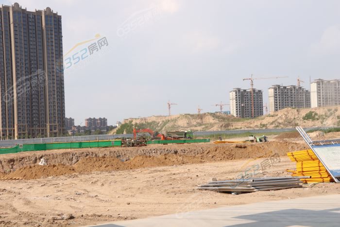 11172923cde8bf1cbd8517.jpg IMG_0470.JPG