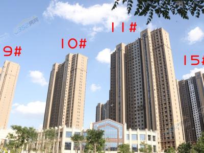 2019.7.239/10/11/15#ʵͼ