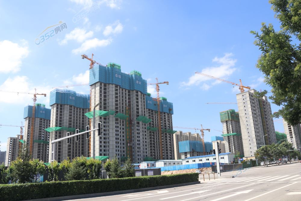 1217310377c173689c4741.jpg IMG_1186.JPG