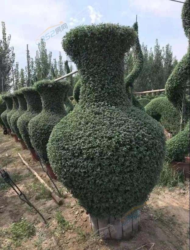 031507038cc2dc3a577421.jpg 微信图片_20190903150320.jpg