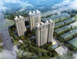 ���⡤ʮ�����