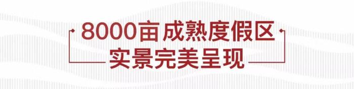 1111111387bfa9f72e3307.jpg 7.jpg