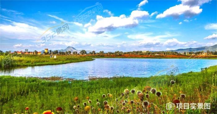 111112328ddf33e7176031.jpg 9.jpg