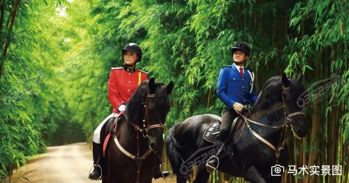 11111328a6abb98f558261.jpg 12.jpg