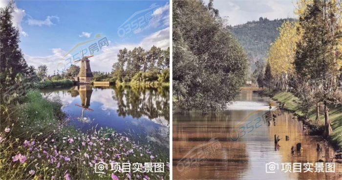 111114331ed139ea4d4533.jpg 13.jpg