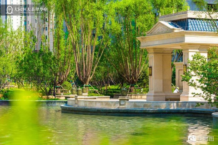 191623059861363ba88803.jpg 寰?俊鍥剧墖_20200319162223.jpg