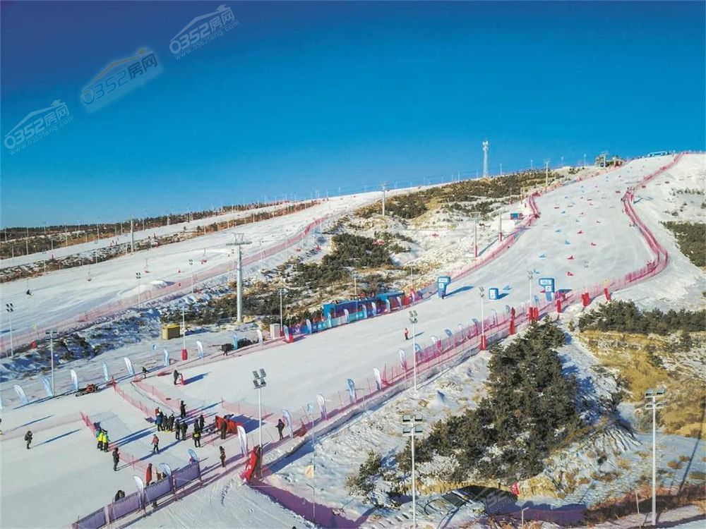 13162453f7e5bb3d3e3237.jpg 8.13.4.jpg