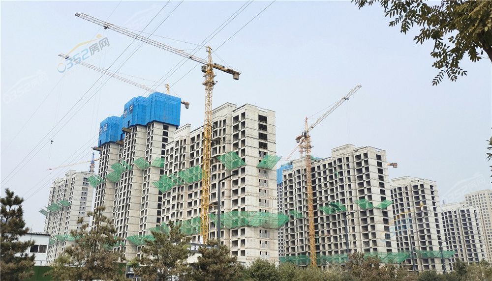 3009175123e39208a34008.jpg 丽景.jpg