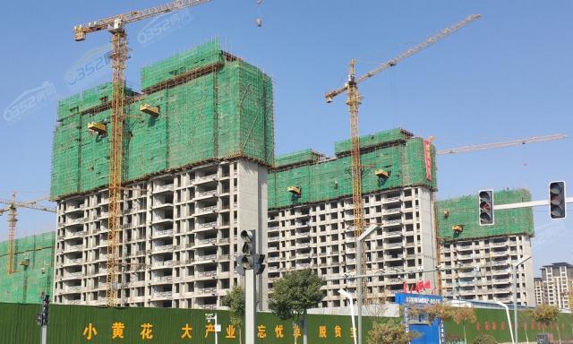 2020.10.24���̽���