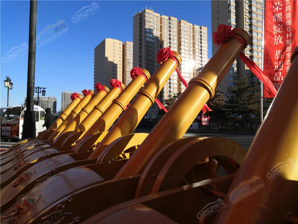 16164155c63fd1e6980905.jpg 礼炮助阵.jpg